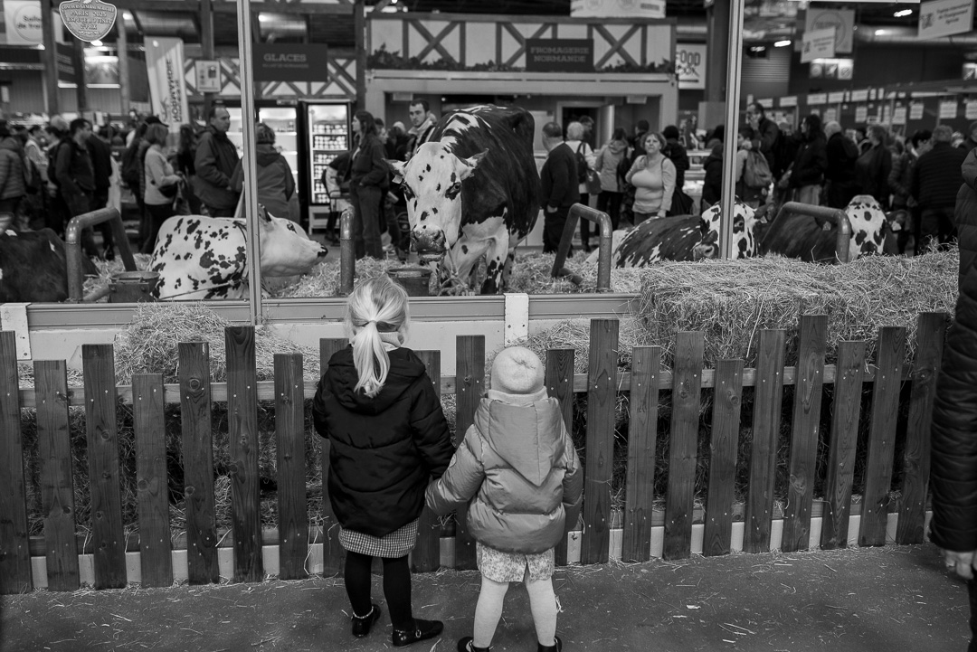 You are currently viewing Salon de l’Agriculture 2025